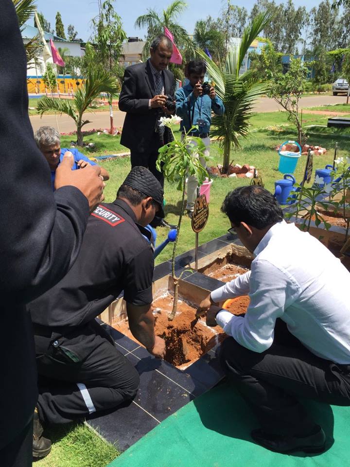 Tree plantation at krishnapatnam