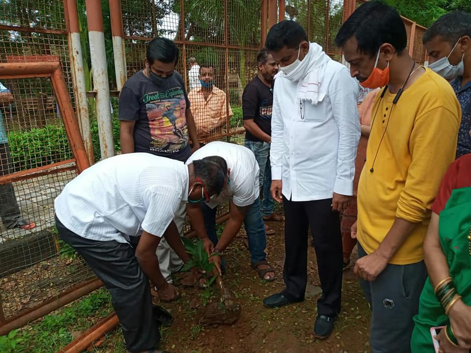 Trees play a vital role in maintaining the balance of the ecosystem. Attended a tree plantation drive in ward no.9 of Gorai-2, Borivali.